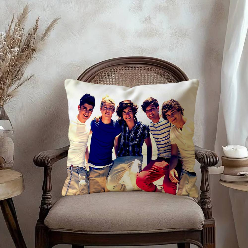 Housse de coussin décorative R - Home Textiles Direct avis et prix