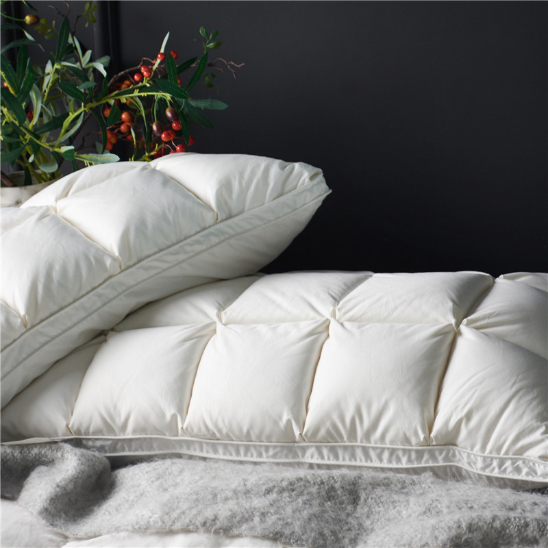 Oreiller en duvet d'oie nature - Home Textiles Premium avis et prix